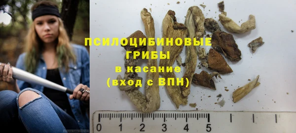 трава Алзамай