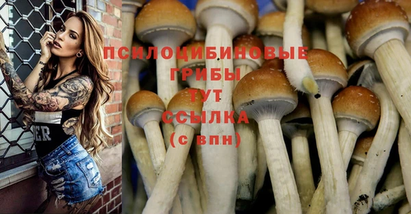 трава Алзамай