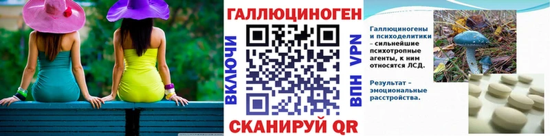 hydra tor  Артём  Галлюциногенные грибы Psilocybe 